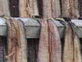 Eel fillets drying