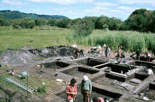 Kohika excavation site