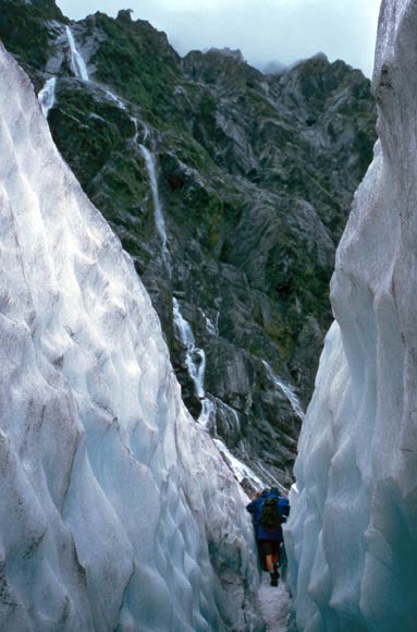 Tourists, Franz Josef Glacier