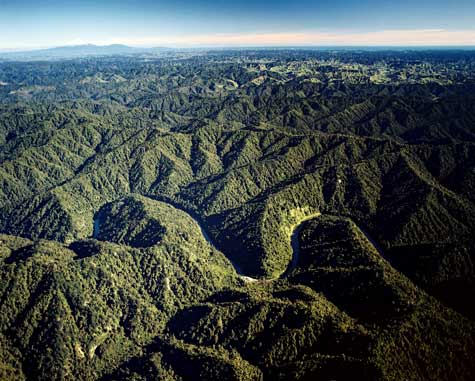 Whanganui National Park