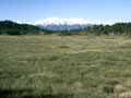 Pakihi heathland, Ōkārito