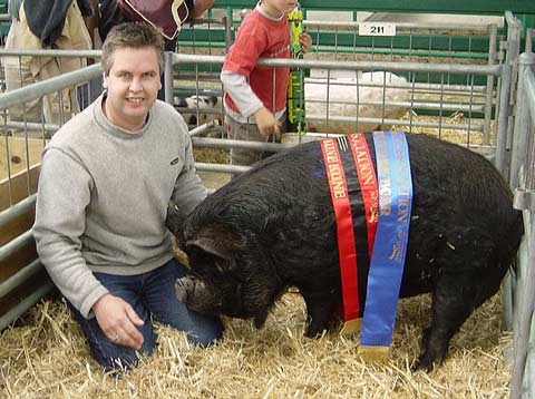 Prize pig