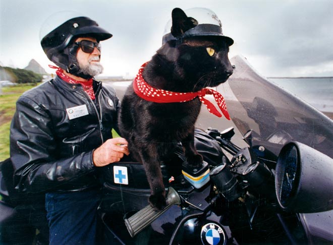Rastus the motorcycle-riding cat