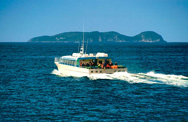 Stewart Island Experience ferry