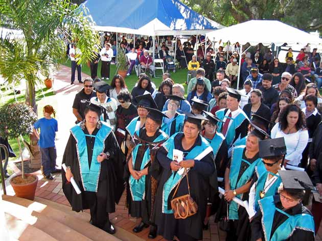 Māori graduates