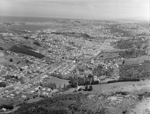 Dunedin expands, 1951
