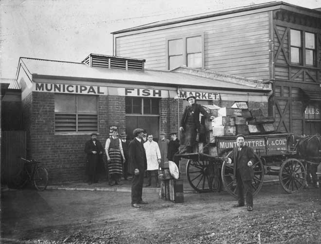 Wellington municipal fish market