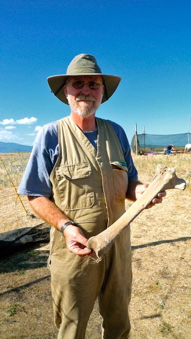 Moa bone at Wairau Bar