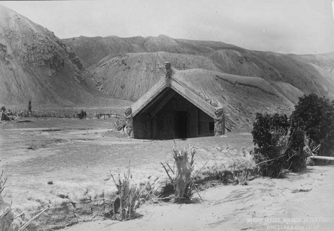 Hinemihi after the eruption