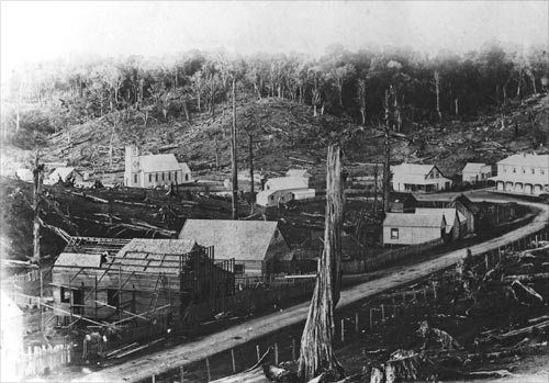 Norsewood, about 1885