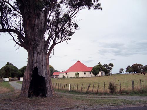 Rongomaiwahine, 2009