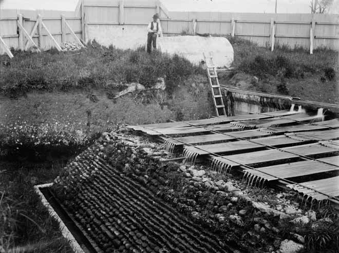 Sewage treatment, early 1900s