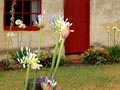 Riverlands cob cottage, Marlborough