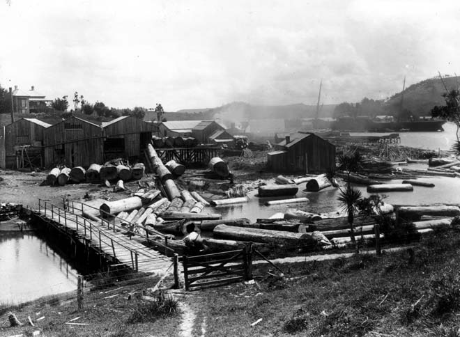Kauri mill on the Kaipara, around 1907