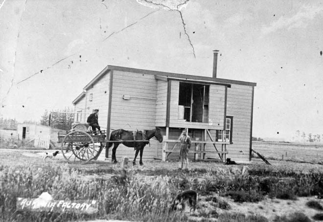 Dairy factory at Rukuhia, Waikato, around 1907