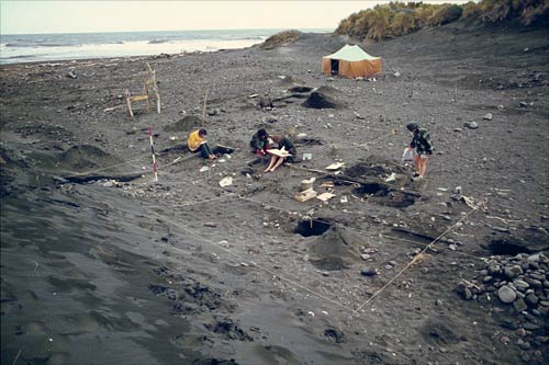 Excavating a moa-hunter camp
