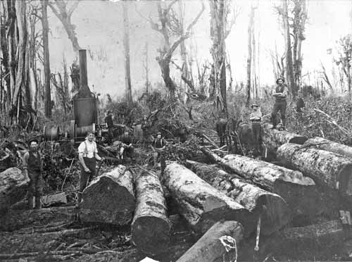 Polish timber-workers, Inglewood