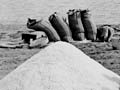 First salt harvest, April 1949