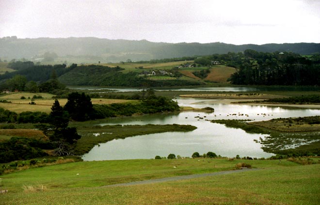 Mangemangeroa estuary, Auckland