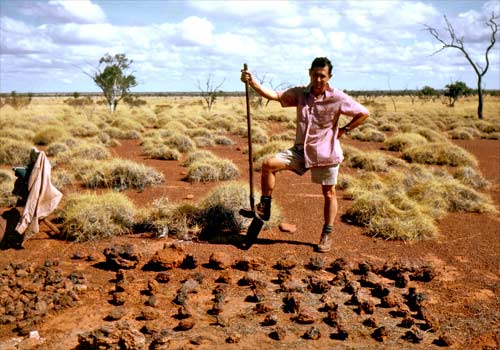 Brian Mason, geochemist and meteorite scientist