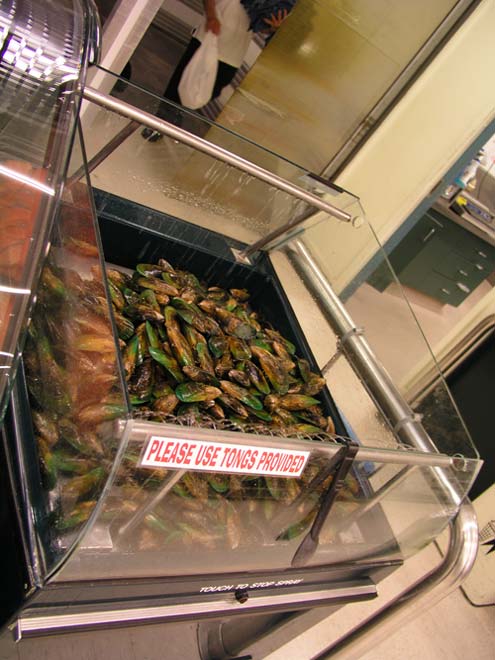 Green-lipped mussels for sale