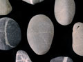 Greywacke pebbles with quartz veins