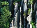 Limestone cliffs, Waitomo 
