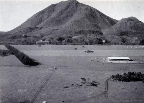 Kawerau site, 1952 