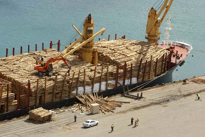 Maritime Friendship crane collapse