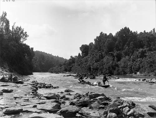 On the Whanganui River 