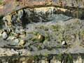 Erosion, Whakarewa Point 