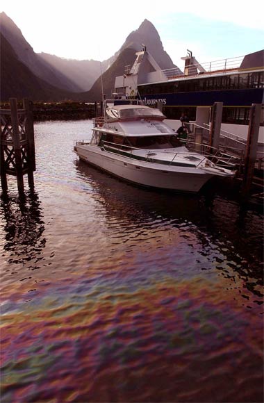 Oil spill, Milford Sound