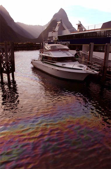 oil-spill-milford-sound-fiords-te-ara-encyclopedia-of-new-zealand