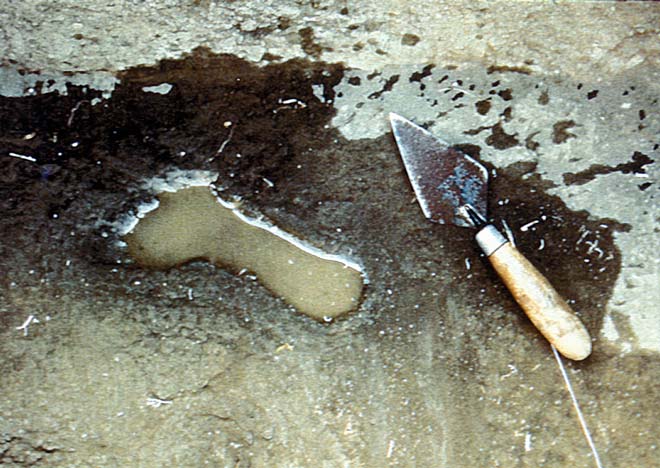 Footprint in Rangitoto ash 