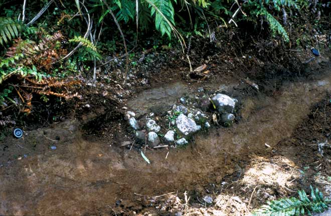 Earth oven between layers of ash 