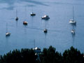 Yachts in the Bay of Islands