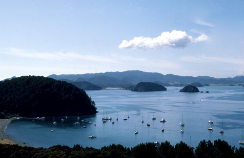 Yachts in the Bay of Islands