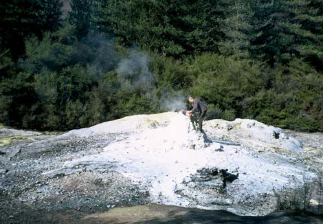 Lady Knox geyser 