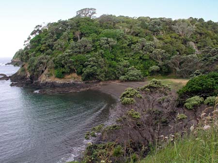 Northland’s coastline 