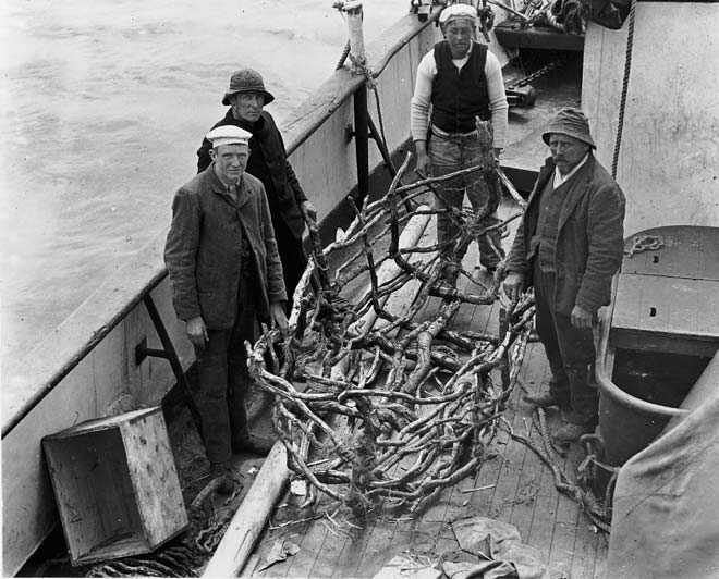 Dundonald survivors and coracle