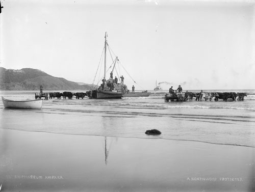 Coastal ships, Ahipara