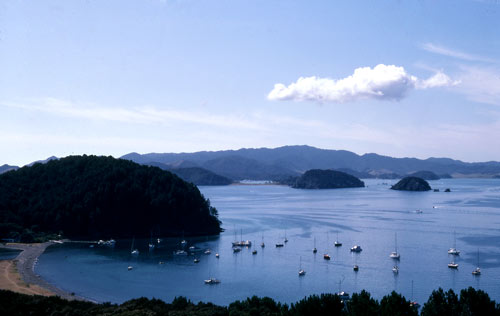 Boats in the Bay of Islands
