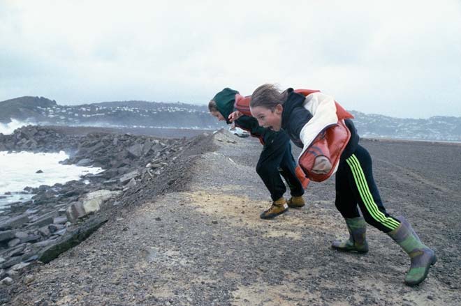 Battling Wellington’s wind