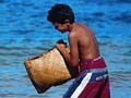 Collecting in the Bay of Islands