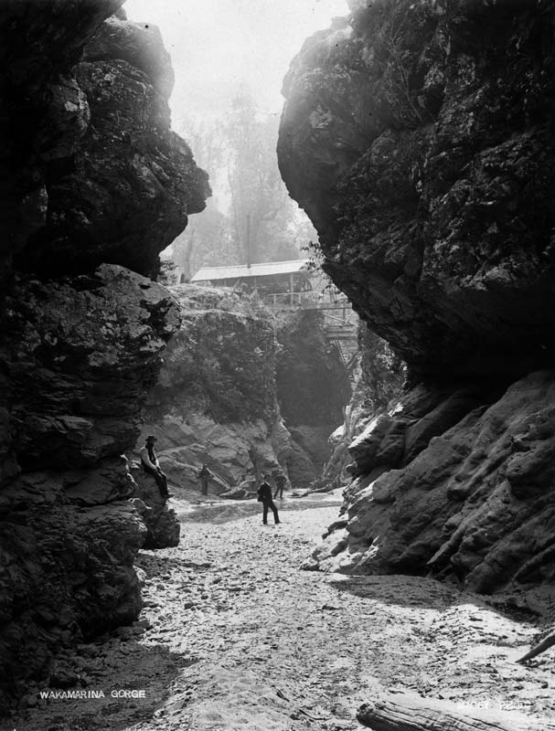 Wakamarina Gorge, 1890