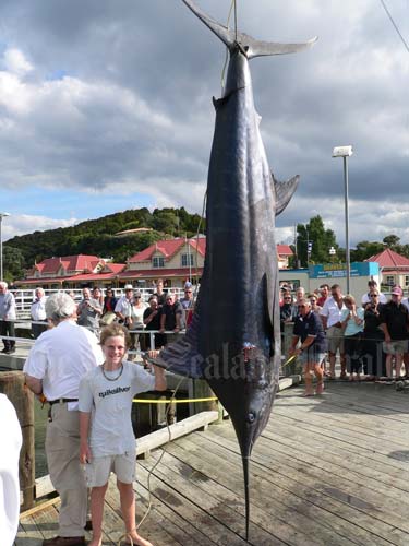 Boy and blue marlin