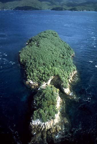 A tītī island
