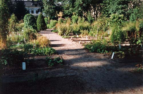 Linnaeus’s garden
