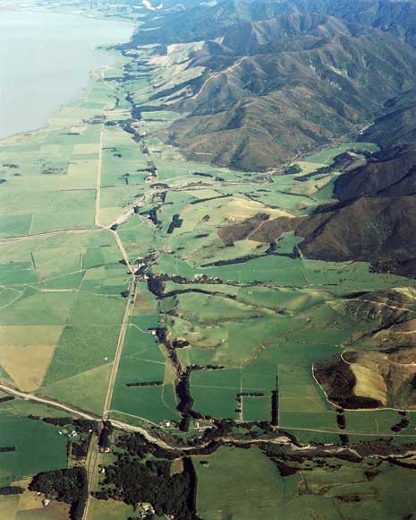 Wairarapa fault