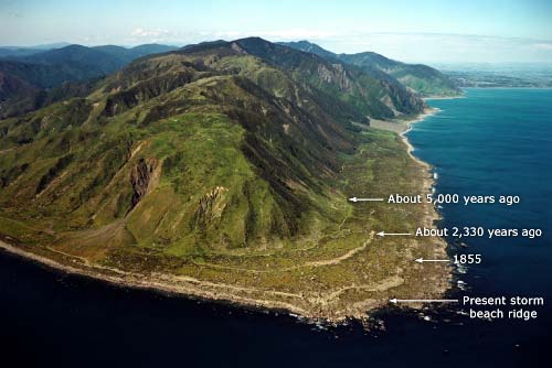 Raised beaches, Turakirae Head